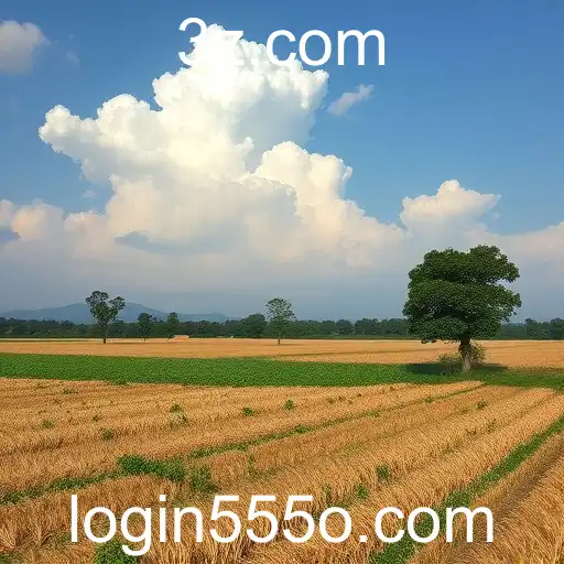 555o